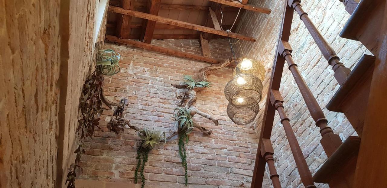 Maison du Flâneur Chioggia Extérieur photo